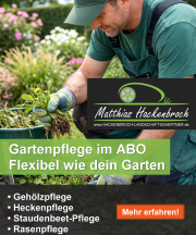 FB-Werbeanzeige-Wildwuchsbeseitigung_mit_Text_1440x1800